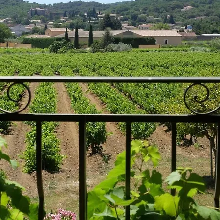 Maison D'hotes Le Mas Des Vignes