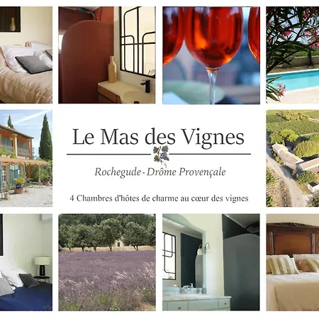 Maison D'hotes Le Mas Des Vignes *