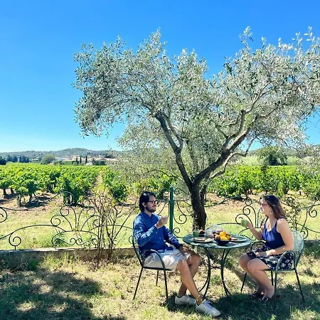 Maison D'hotes Le Mas Des Vignes Pensión