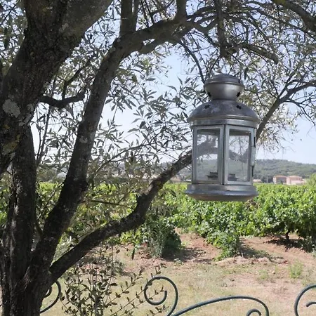 Pensión Maison D'hotes Le Mas Des Vignes *