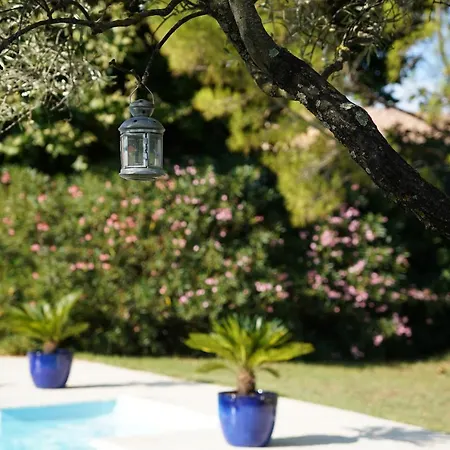 Pensión Maison D'hotes Le Mas Des Vignes *