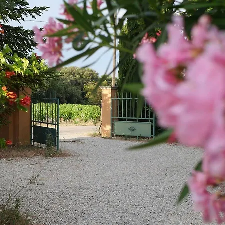 Maison D'hotes Le Mas Des Vignes Pensión *