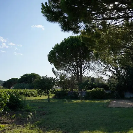 Pensión Maison D'hotes Le Mas Des Vignes