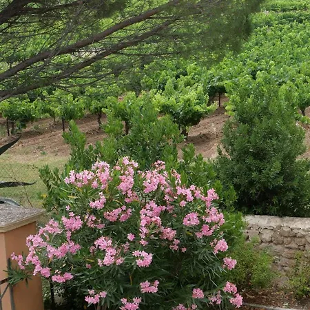 Maison D'hotes Le Mas Des Vignes Pensión