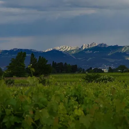 Maison D'hotes Le Mas Des Vignes *
