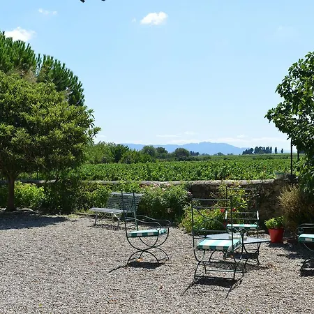 Pensión Maison D'hotes Le Mas Des Vignes *